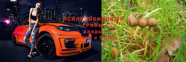 a pvp Алексеевка