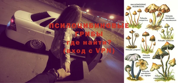 синтетический гашиш Алексин