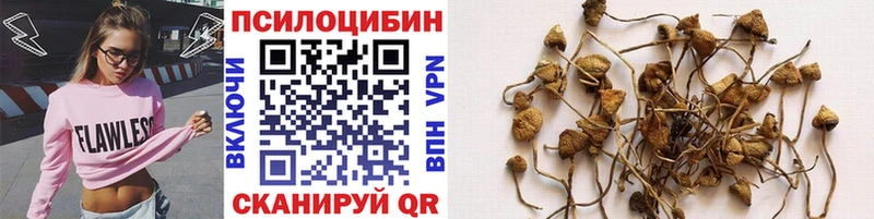 Галлюциногенные грибы ЛСД  Муром 