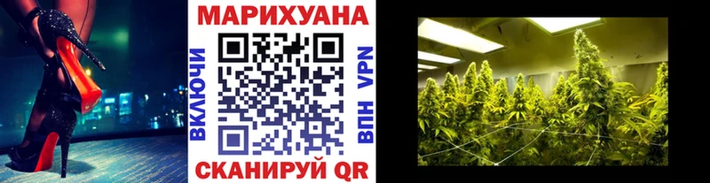 Конопля OG Kush Муром